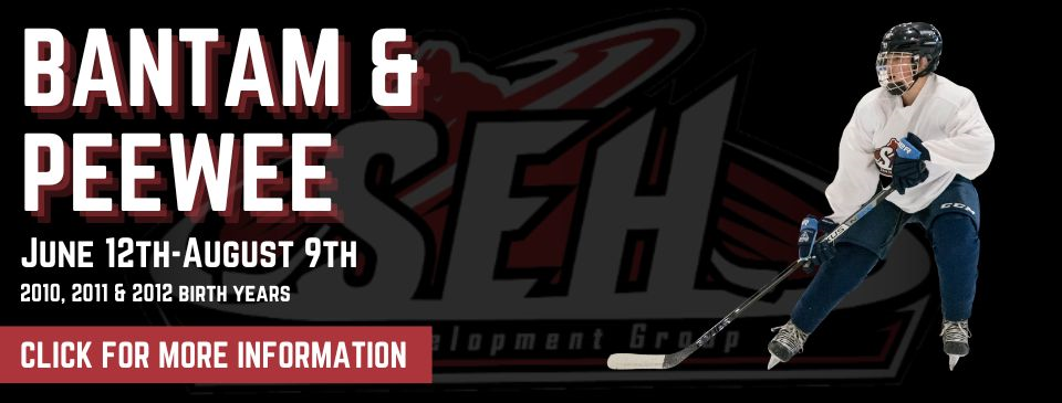 Bantam & Peewee AAA Hockey Development - Summer 2023